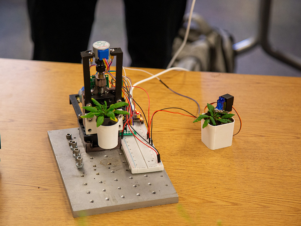 Apair of plants hooked up to some electronic testing machine