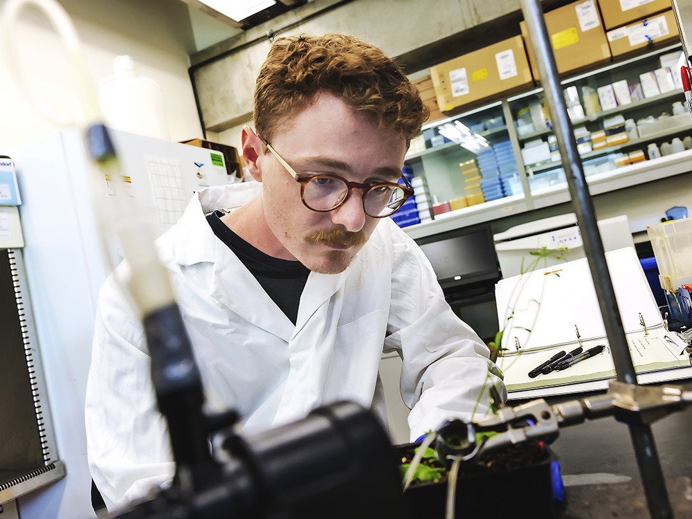 a scientist in a lab coat leans over a bench with plants and a microscope